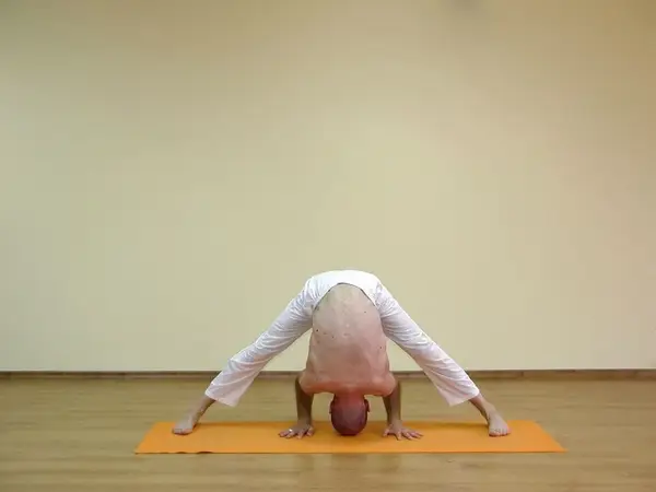 Prasarita Padottanasana A