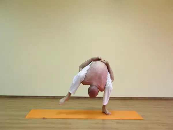 Tittibhasana B