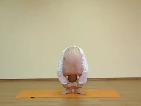 Tittibhasana C