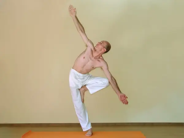 Vrkshasana H