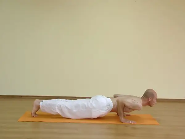 Chaturanga Dandasana