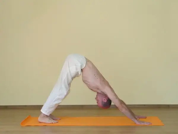 Adho Mukha Svanasana