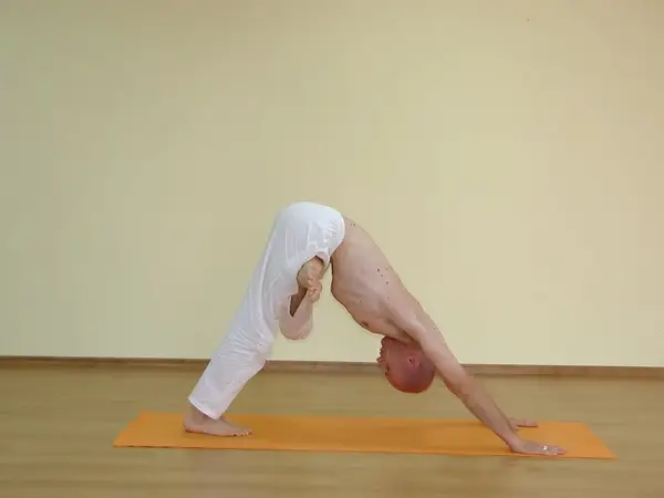 Trianga Adho Mukha Shvanasana