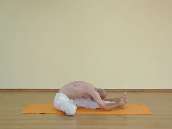 Janu Shirshasana