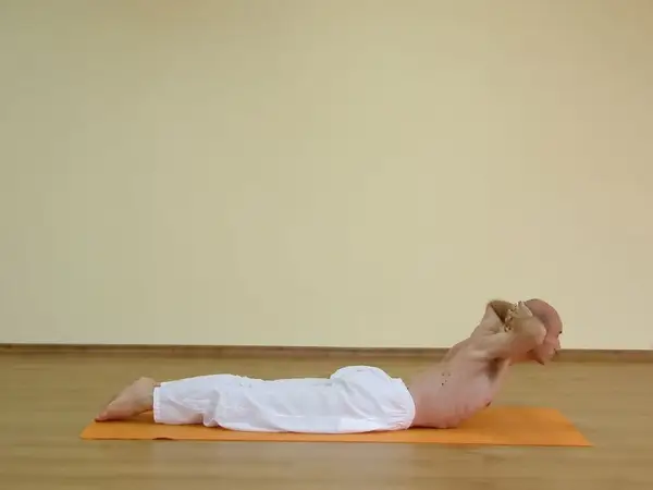 Makarasana