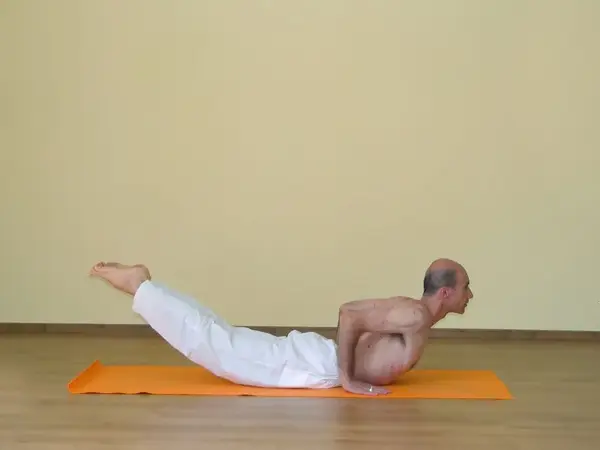 Shalabhasana C