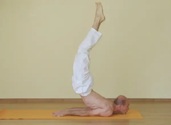 Viparita Shalabhasana
